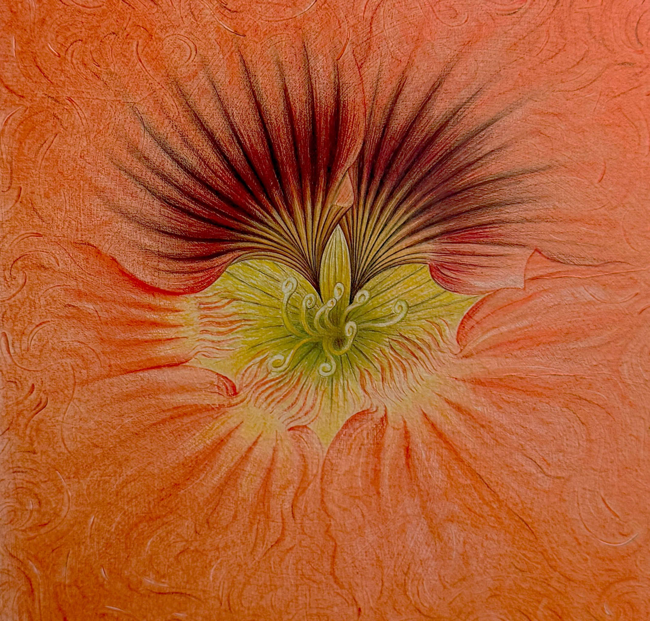 Diagnóstico Médico